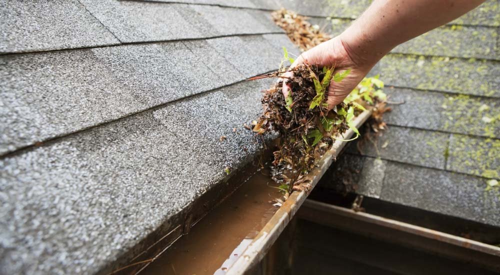 Gutter Cleaning