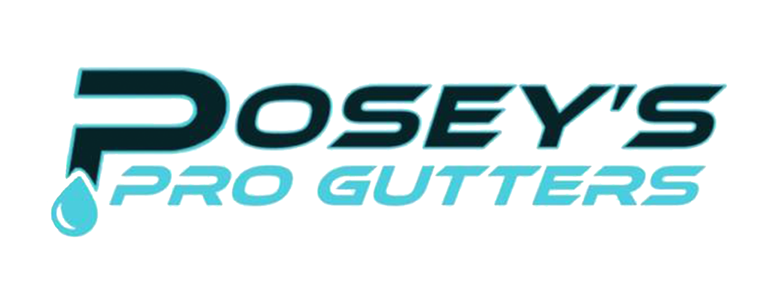 Posey’s Pro Gutters